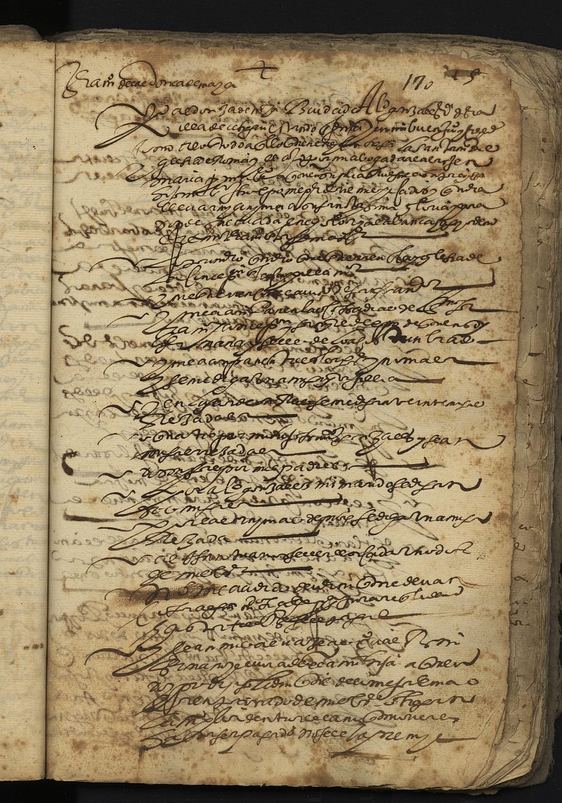 Testamento de Aldonza Maya, viuda de Alonso González, vecina de Cehegín.